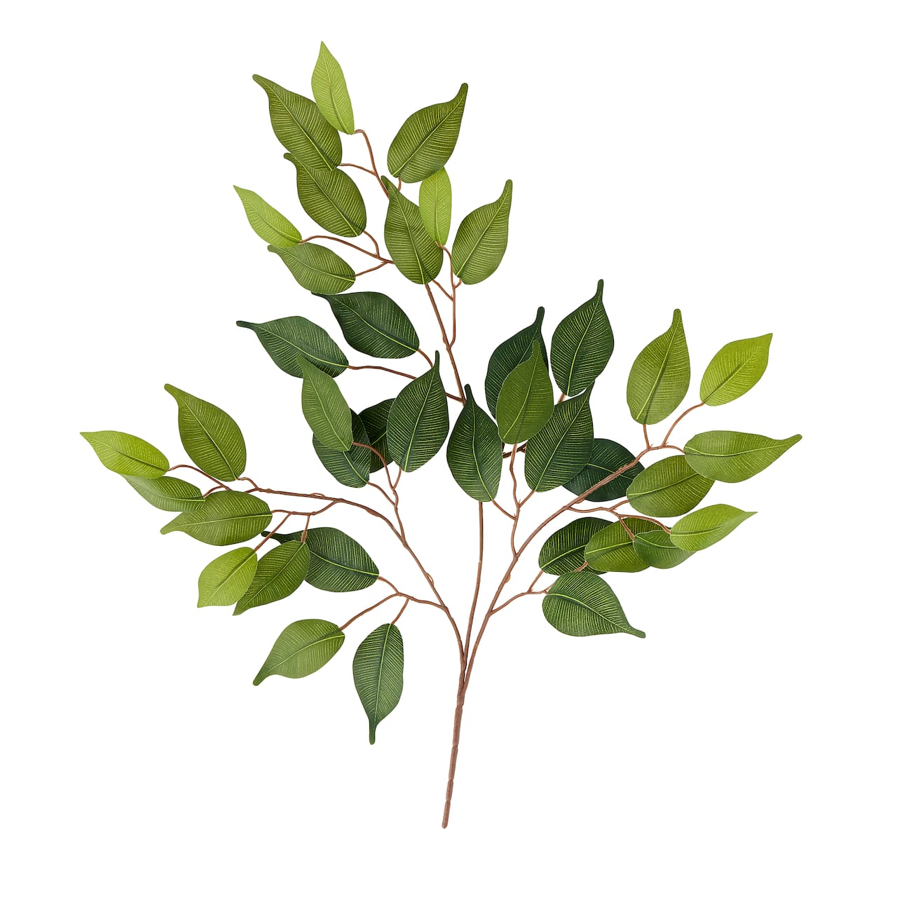 12 Pack: Ficus Spray Floral Essentials by Ashland&#xAE;